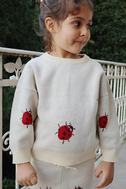 Lapis Round Neck Organic Cotton Knit Blouse Ladybug