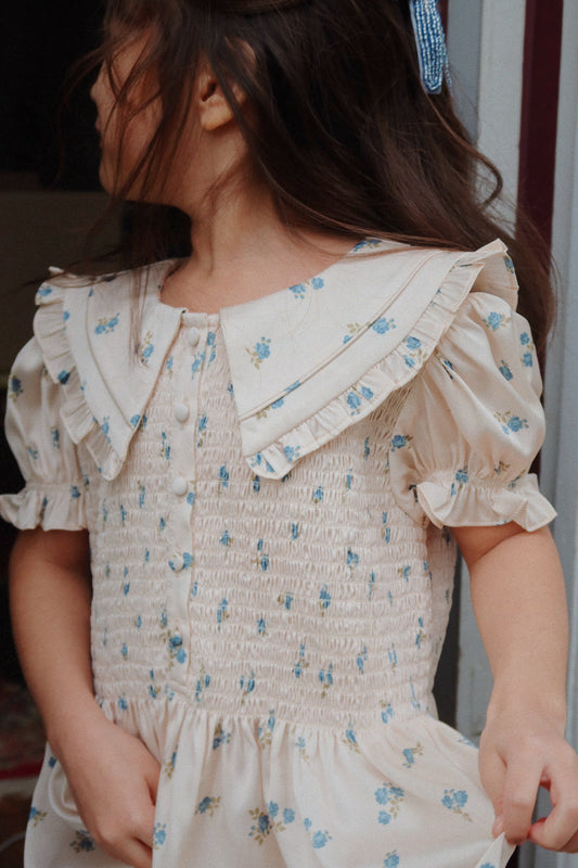CELEBRATION SHEENY SHORT PUFFY SLEEVES SMOCK FLOWER PRINTED DRESS