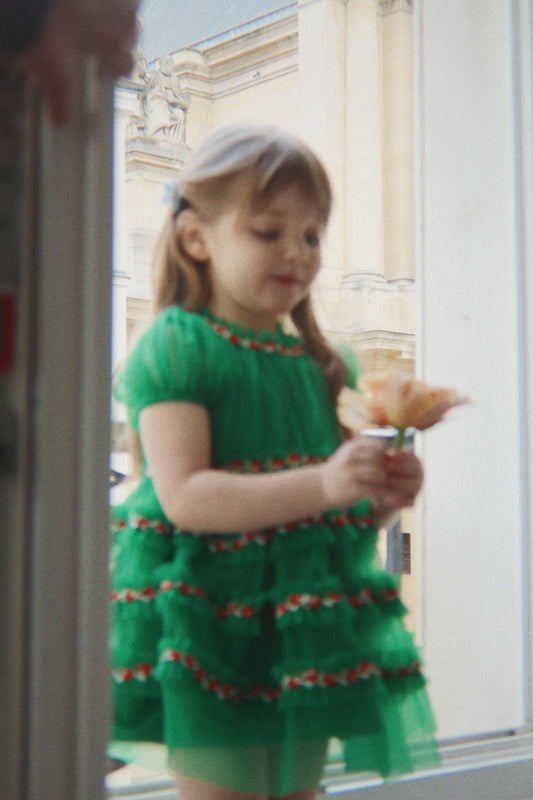 Joelle Embroidered Short Puff Sleeves Flowers Tulle Dress Green